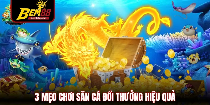 Bắn Cá Bem88 - Sân Chơi Giải Trí Đổi Thưởng Cuốn Hút #1 3 3 meo choi san ca doi thuong hieu qua