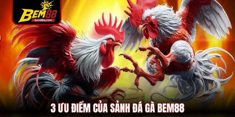 Đá Gà Bem88 - Trải Nghiệm Cược Kê Online Đỉnh Cao 2025 2 3 uu diem cua sanh da ga bem88