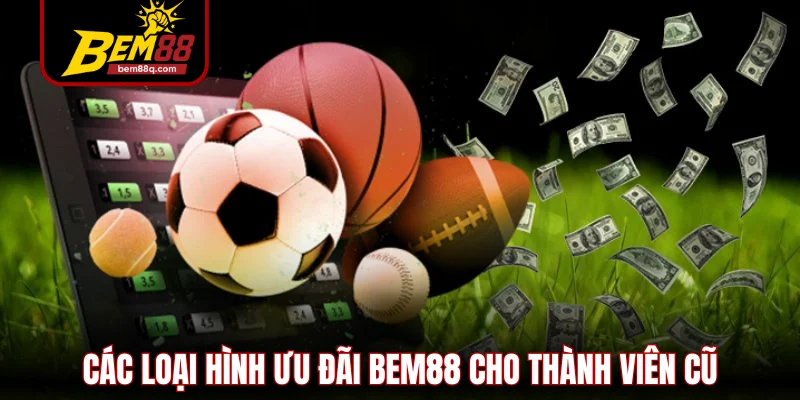 Khuyến Mãi Bem88 - Các Loại Hình Ưu Đãi Mới Nhất Từ Nhà Cái 2 cac loai hinh uu dai bem88 cho thanh vien cu 1